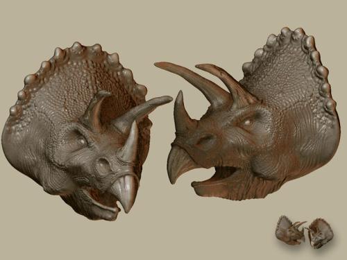 精雕浮雕班+精雕模具班+zbrush班+雕刻笔班+Rhino班