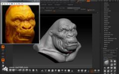 zbrush 动物头像设计